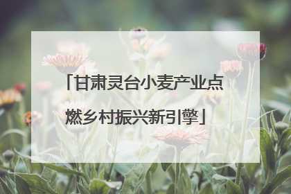 甘肃灵台小麦产业点燃乡村振兴新引擎
